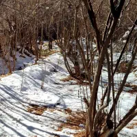 باغ تفت، اعیانی ، ۷۰۰ متر