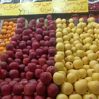 استخدام نیروی حرفه ای