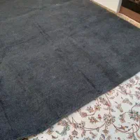 پالازموکت|موکت|ارومیه, |دیوار