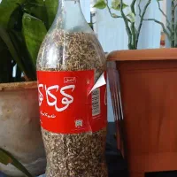 چند بطری اسپند