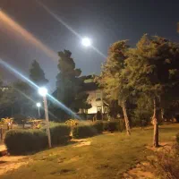 استخدام کارگر گاوداری فوری