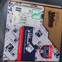 دیسک و صفحه 405 عظام زانتیایی