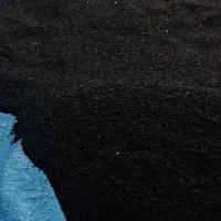 فروش بذر پیاز مینروا دستگیری قوطی آرژانتین