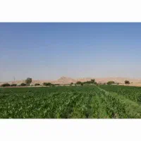 فروش ۱ هکتار