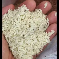 فروش برنج سوپر باسماتی پاکستانی بریس|عمدهفروشی|یزد, |دیوار