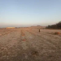 زمین کشاورزی|فروش دفتر صنعتی، کشاورزی، تجاری|رباط‌کریم, رباط‌کریم|دیوار