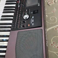 ارگ pa1000|پیانو، کیبورد، آکاردئون|ابریشم, |دیوار