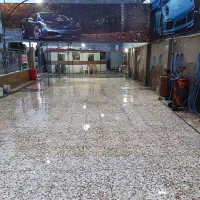 نیروی کار در کارواش