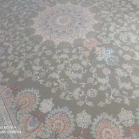 فرش|فرش|رشت, حمیدیان|دیوار