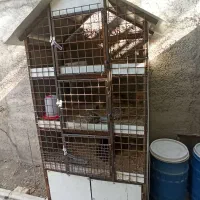قفس یا جفت کن حیوانات خانگی|لوازم جانبی حیوانات|هشتگرد, تهران دشت|دیوار