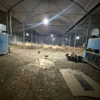 فروش گلخانه با سازه اسپانیایی و تاسیسات کامل