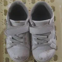 پیدا شده