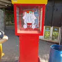 پفیلا ساز ایستاده