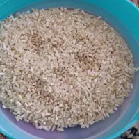 فروش عمده برنج  عنبربو وهاشمی درجه یک