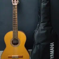 گیتار Dalahu با کاور