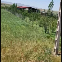 فروش-یک-قطعه-زمین-15-کلیومتری-جاده-تهران