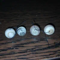 انگشتر مهره|بدلیجات|اهواز, نادری|دیوار