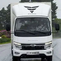 کامیونت 3 تن گروه بهمن (F38)