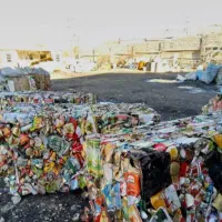 خرید ضایعات و پرس کارتن|خدمات پیشه و مهارت|سبزوار, جهاد کشاورزی|دیوار