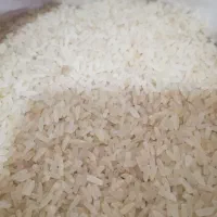 برنج|خوردنی و آشامیدنی|بندر ماهشهر, |دیوار