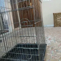 قفس|لوازم جانبی حیوانات|قزوین, |دیوار