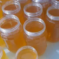 فروش عسل خالص ، عسل کوهرنگ داروی