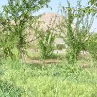 باغ پیرحیاتی