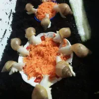 ح ل ز و ن(حلزون)