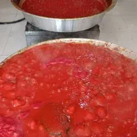آبگیری گوجه سیار|خدمات پذیرایی، مراسم|مراغه, |دیوار