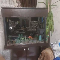 آکواریم