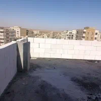 تیغه چینی