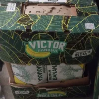 فروش کارتن موز