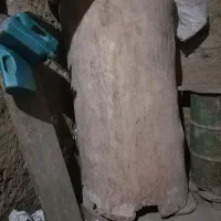 سیلو چوبی|ماشینآلات صنعتی|مینودشت, |دیوار