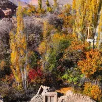 مشارکت نیروگاه خورشیدی