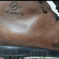 کفش مارک باچرم طبیعی ایتالیایی|کیف، کفش، کمربند|شهرکرد, |دیوار