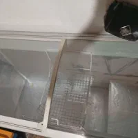 فریزر|یخچال و فریزر|رودسر, |دیوار