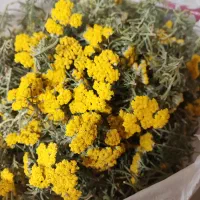 زمین-مسکونی-تجاری-اداری
