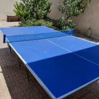 میز تنیس روی میز