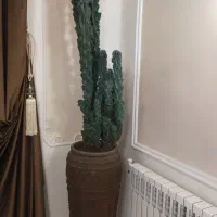 خدمات باغبانی صفر تا صد|خدمات باغبانی و درختکاری|کرج, فاز ۴ مهرشهر|دیوار