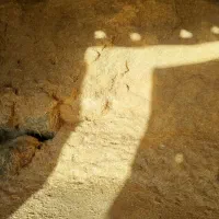 کاه گندم خشک تمیز