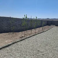 فروش باغچه ۳۸۰ متری سند تک برگ دار در انجم آباد|فروش زمین و ملک کلنگی|رباط‌کریم, انجم آباد|دیوار