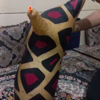 پوست درجه یک آب بندی شده خوش استایل|سازهای بادی|چغادک, |دیوار