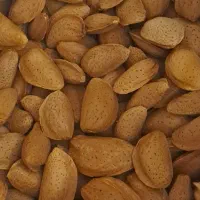 باغ-با-سند-و-کانکس-و-سرویس-بهداشتی