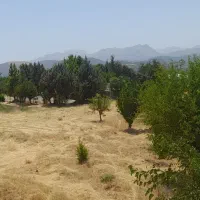 استخدام نیرو برای مرغداری مریوان|استخدام صنعتی، فنی، مهندسی|سنندج, |دیوار
