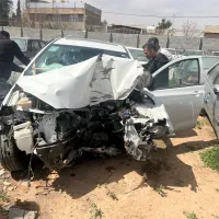 شاهین تصادفی