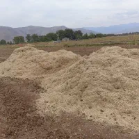 کاه لوبیا