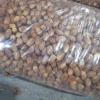 فروش خرما زاهدی|خوردنی و آشامیدنی|نیشابور, شهرک رسولی|دیوار