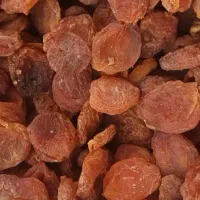 درجه یک|خوردنی و آشامیدنی|قم, انسجام|دیوار