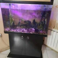 آکواریوم برندcamery