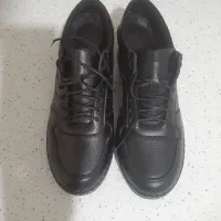 کفش زنانه|کیف، کفش، کمربند|پرند, فاز ۶|دیوار